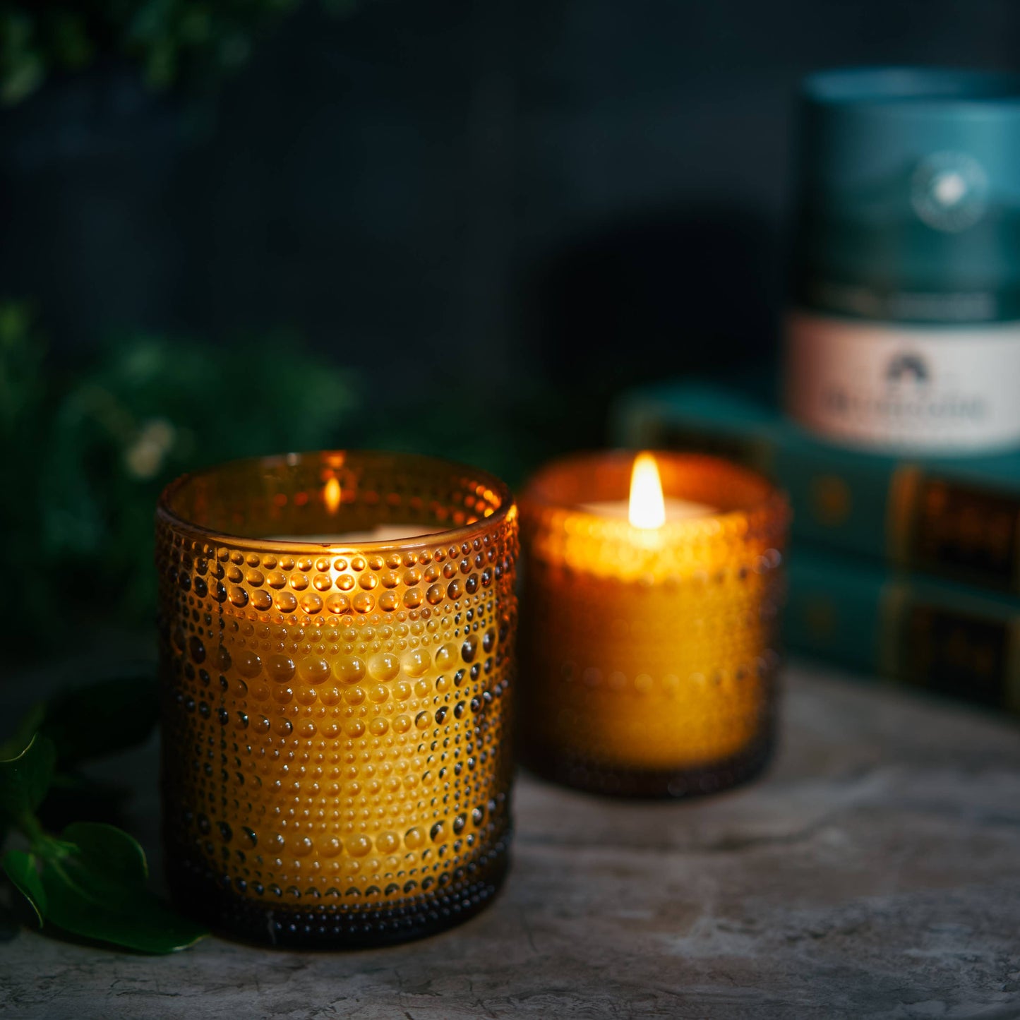 Woodsy Pine Jar Candle – Vegan Coconut Wax