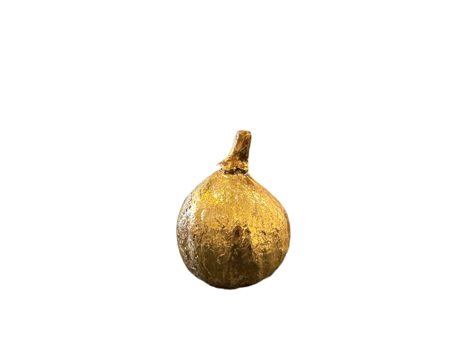 Resin Figs with Antique Finish