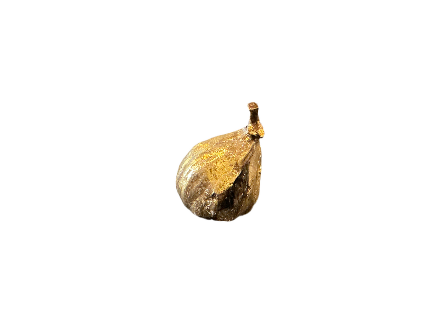 Resin Figs with Antique Finish