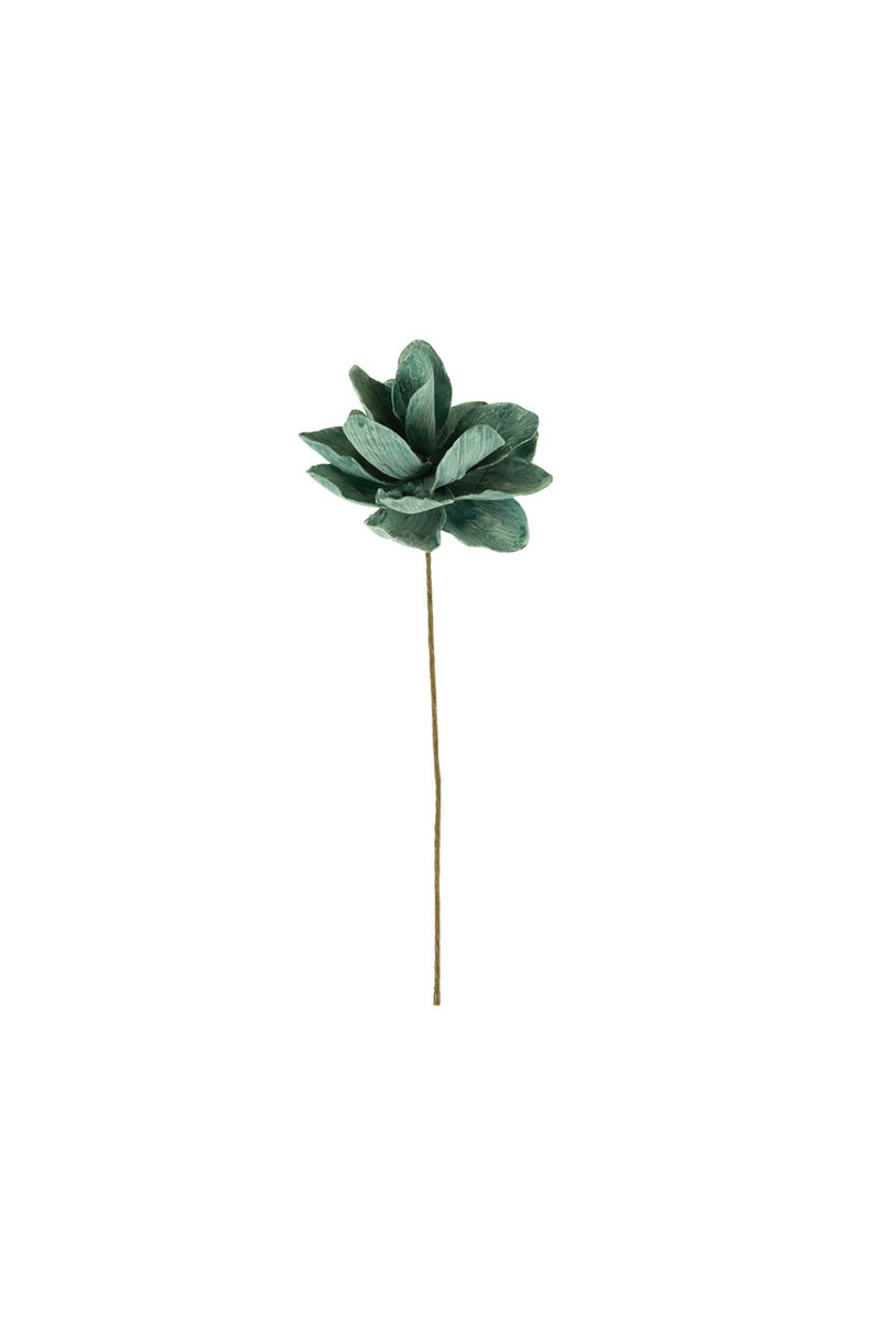 Botanica #3531