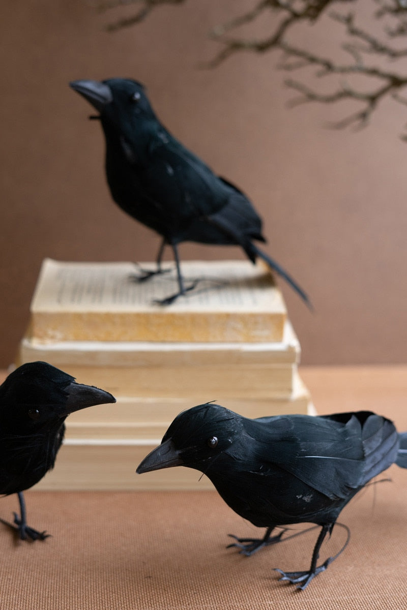 Crow Sculptures with Black Feathers - 3 Styles