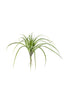 large faux air plant Large Faux Air Plant