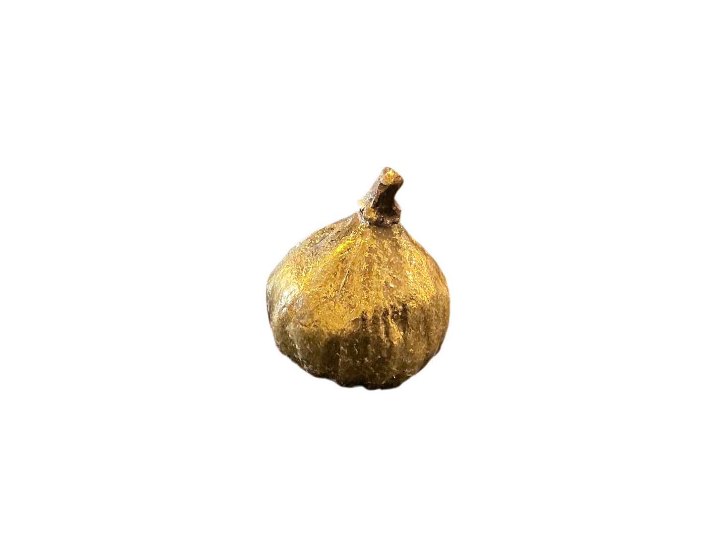 Resin Figs with Antique Finish