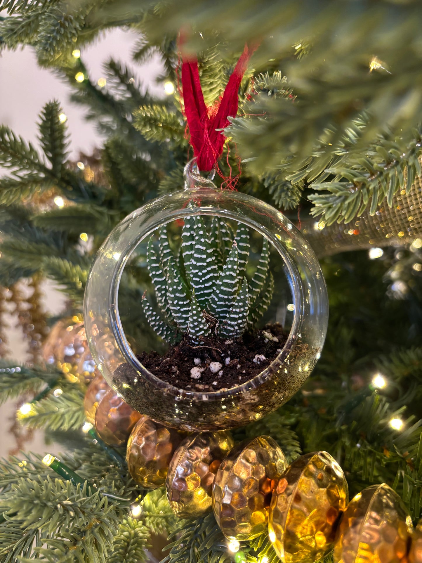Hanging bulb with plant