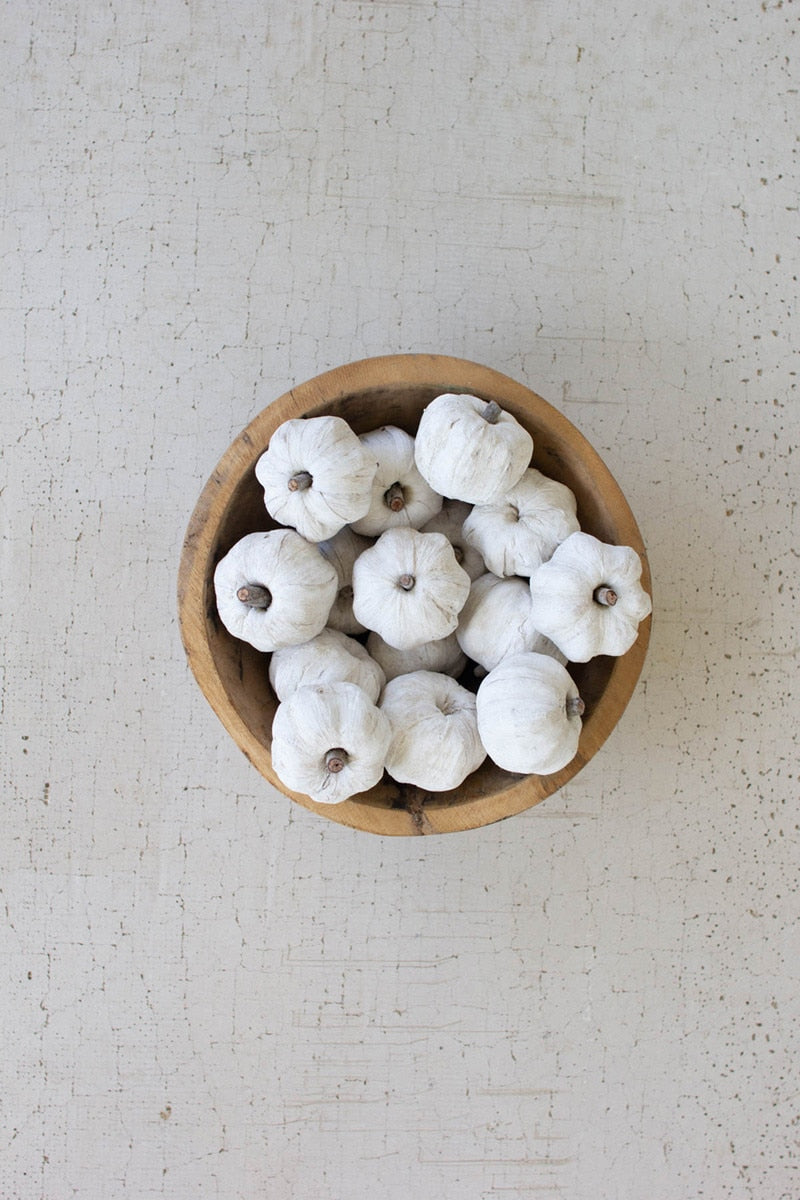Dried Miniature Faux Pumpkins - White