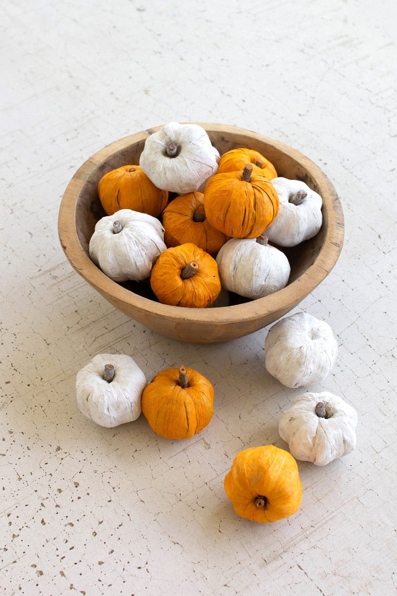 Dried Miniature Faux Pumpkins - White