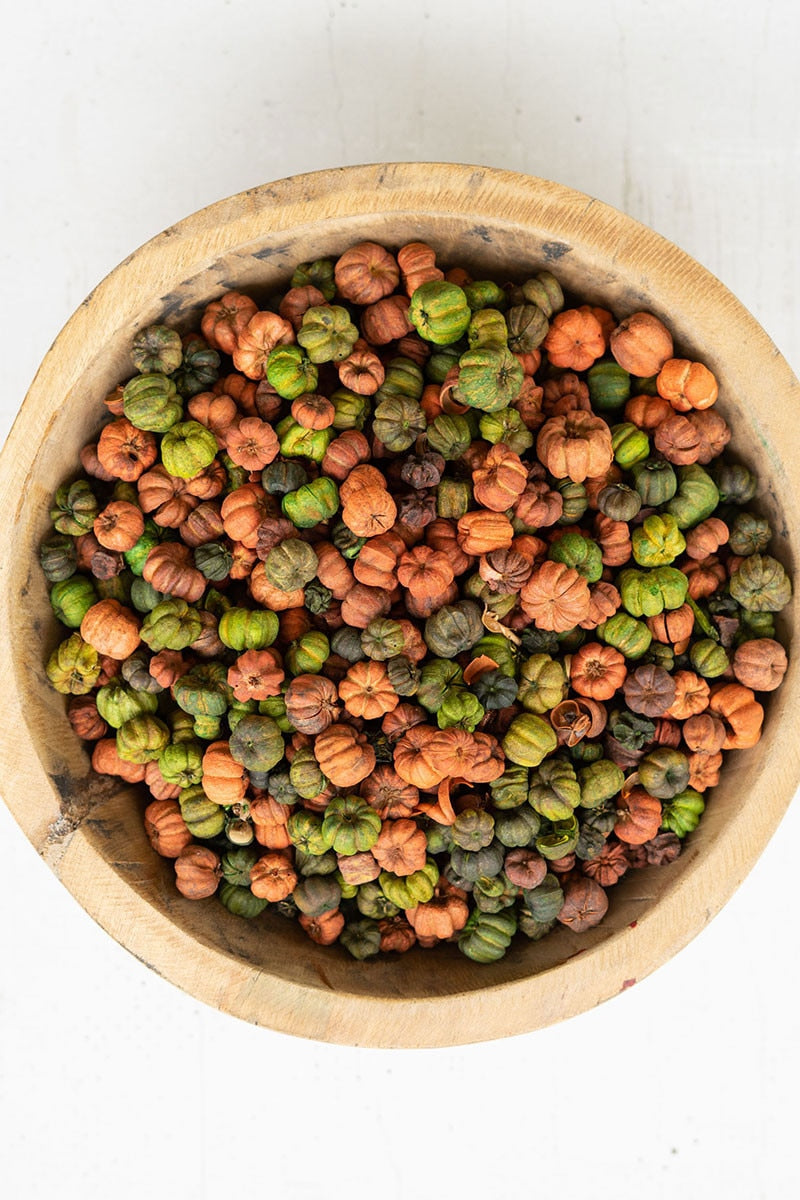 Orange and Green Putka Pods