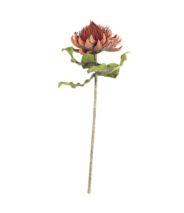 Botanica #2422