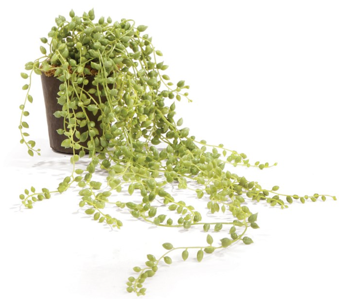 17'' String of Pearls Drop In