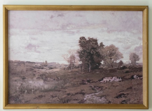 Framed Vintage Prints - 5 Styles