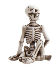 Skeleton in Yoga Pose, 5 Styles