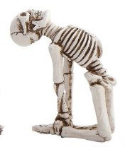Skeleton in Yoga Pose, 5 Styles
