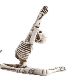Skeleton in Yoga Pose, 5 Styles