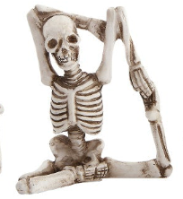 Skeleton in Yoga Pose, 5 Styles