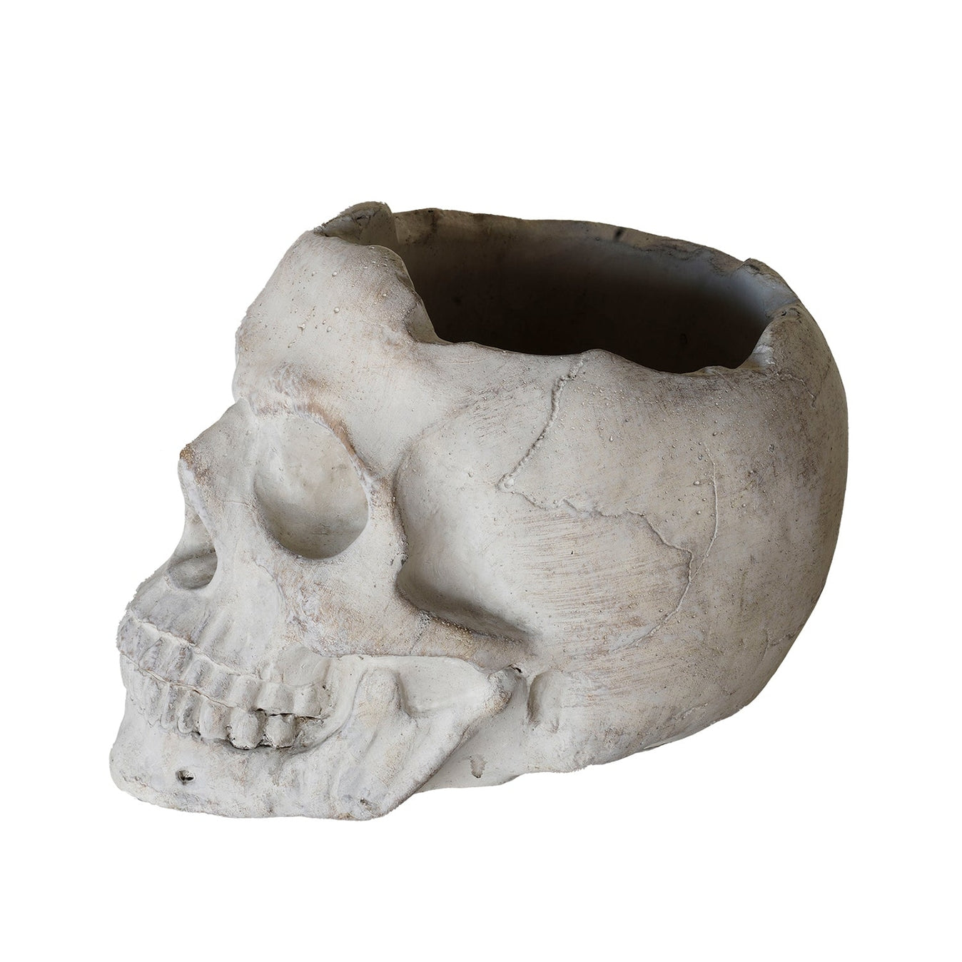 Concrete Memento Mori Skull - 2 Sizes