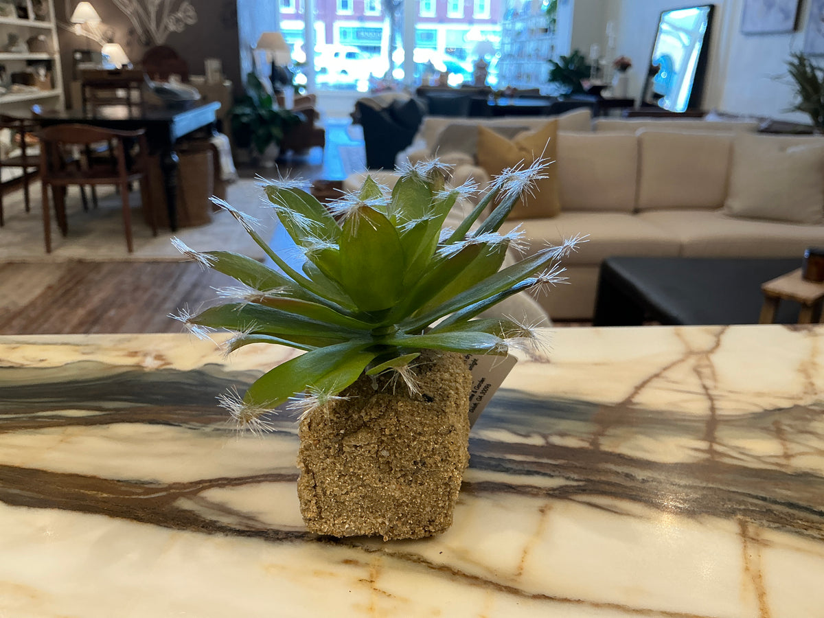 Succulent Drop-Ins 5.5" - Faux