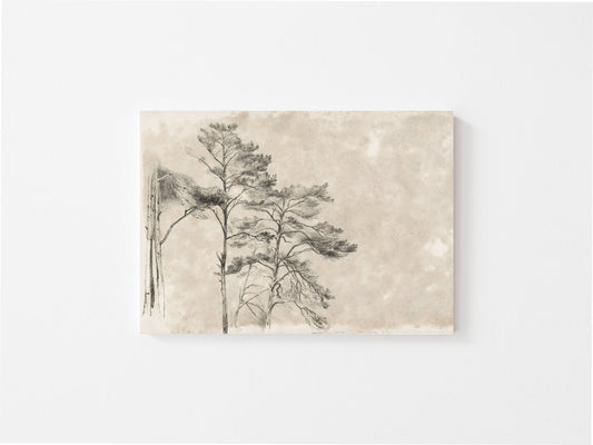 Tree Sketch ll Vintage Art Print w/ Matted Frame
