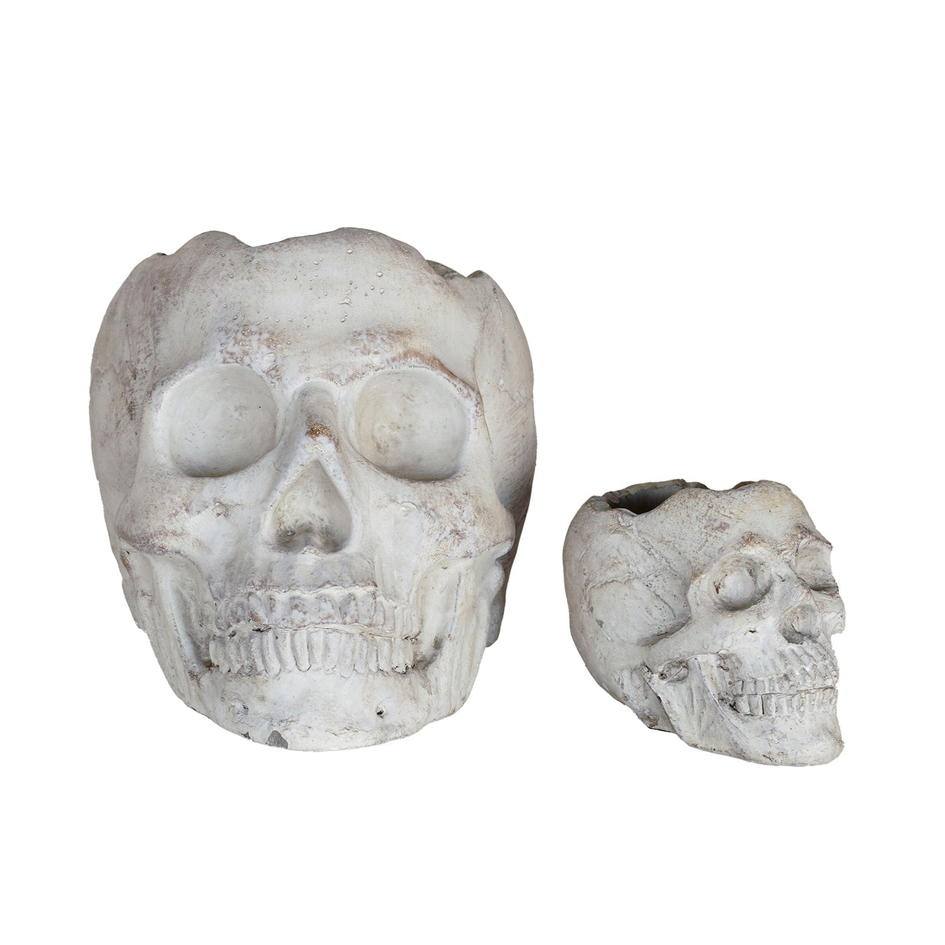 Concrete Memento Mori Skull - 2 Sizes