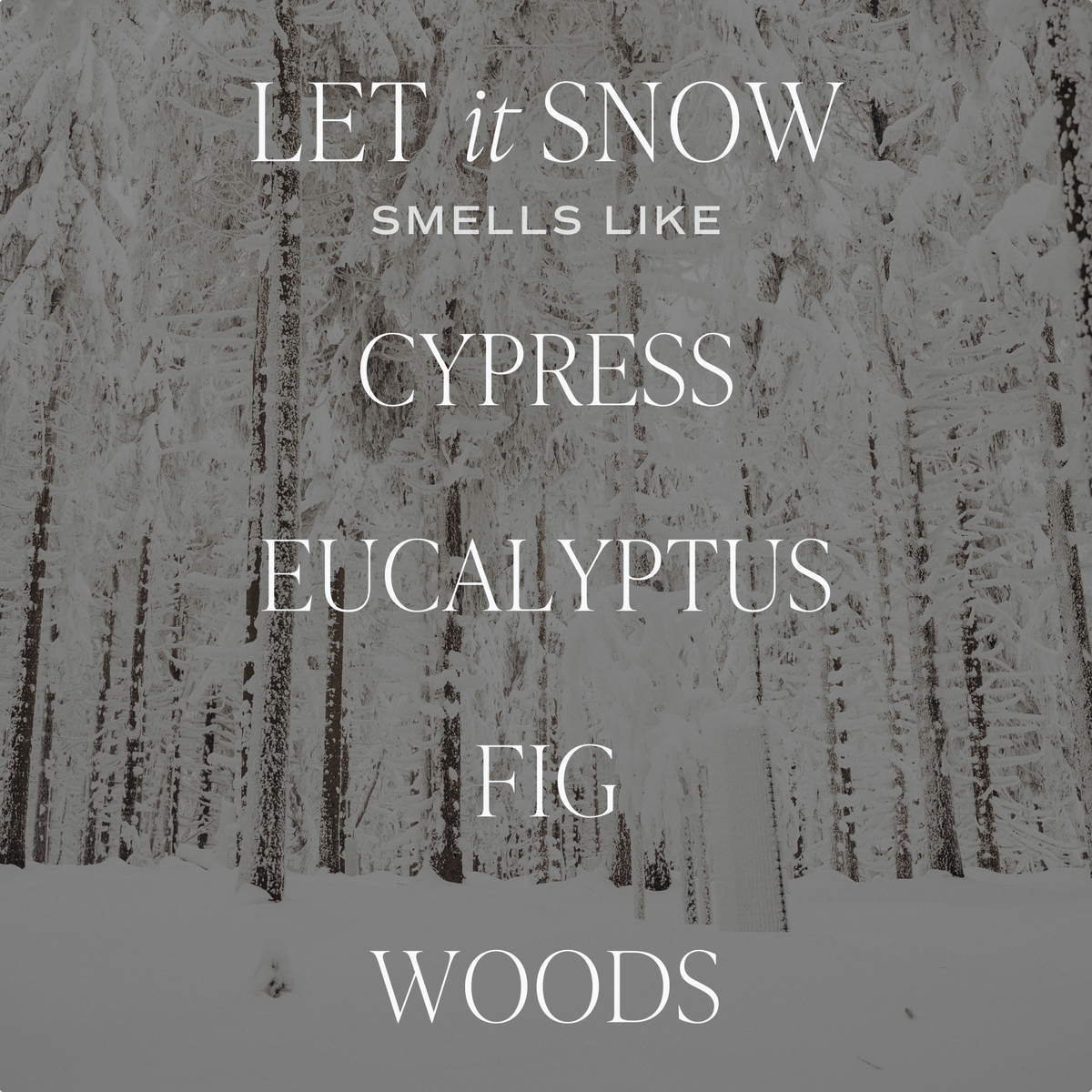 Let It Snow 15 oz Soy Candle, Matte Jar