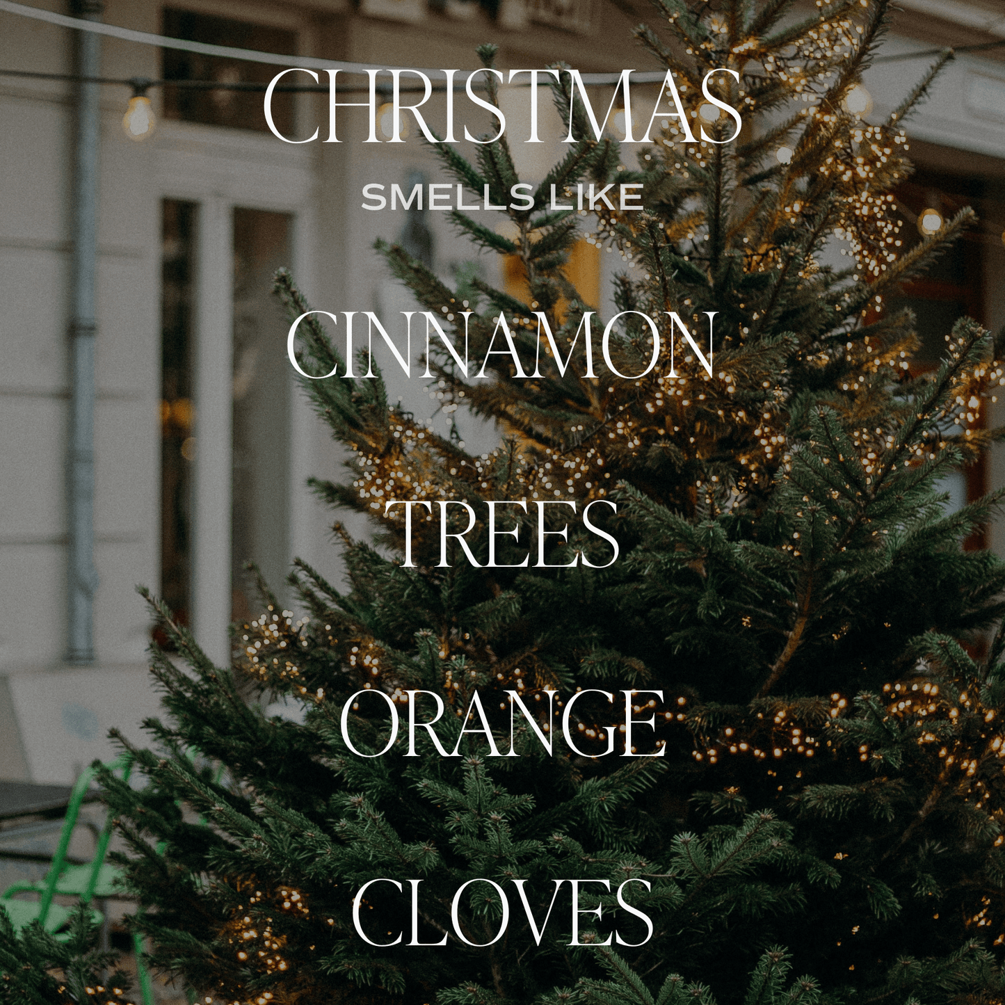 Soy Christmas Candle Gift Box Set