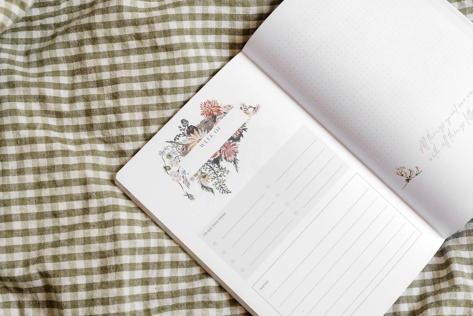 Stationery + Gift Wrap