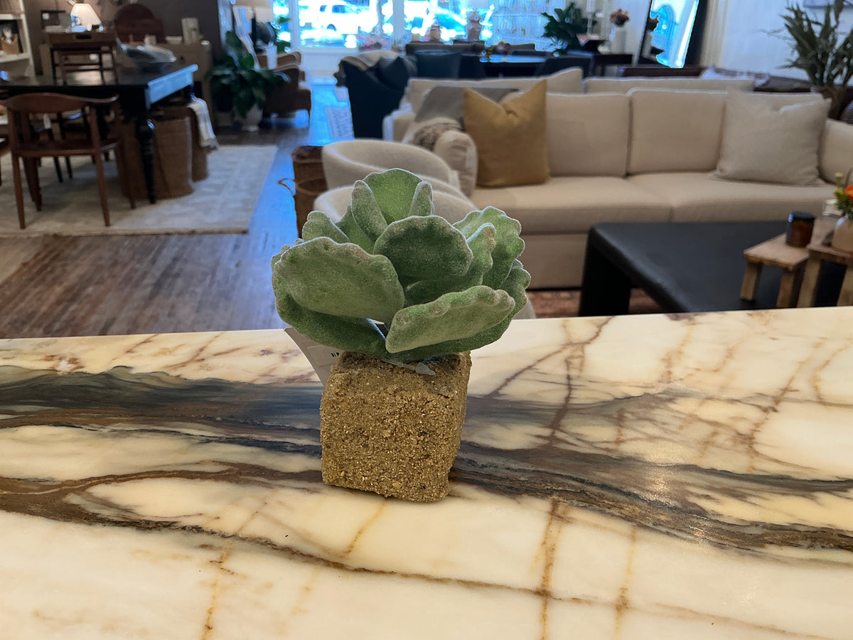 Succulent Drop-Ins 5.5" - Faux