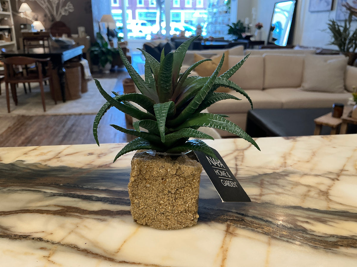 Succulent Drop-Ins 5.5" - Faux