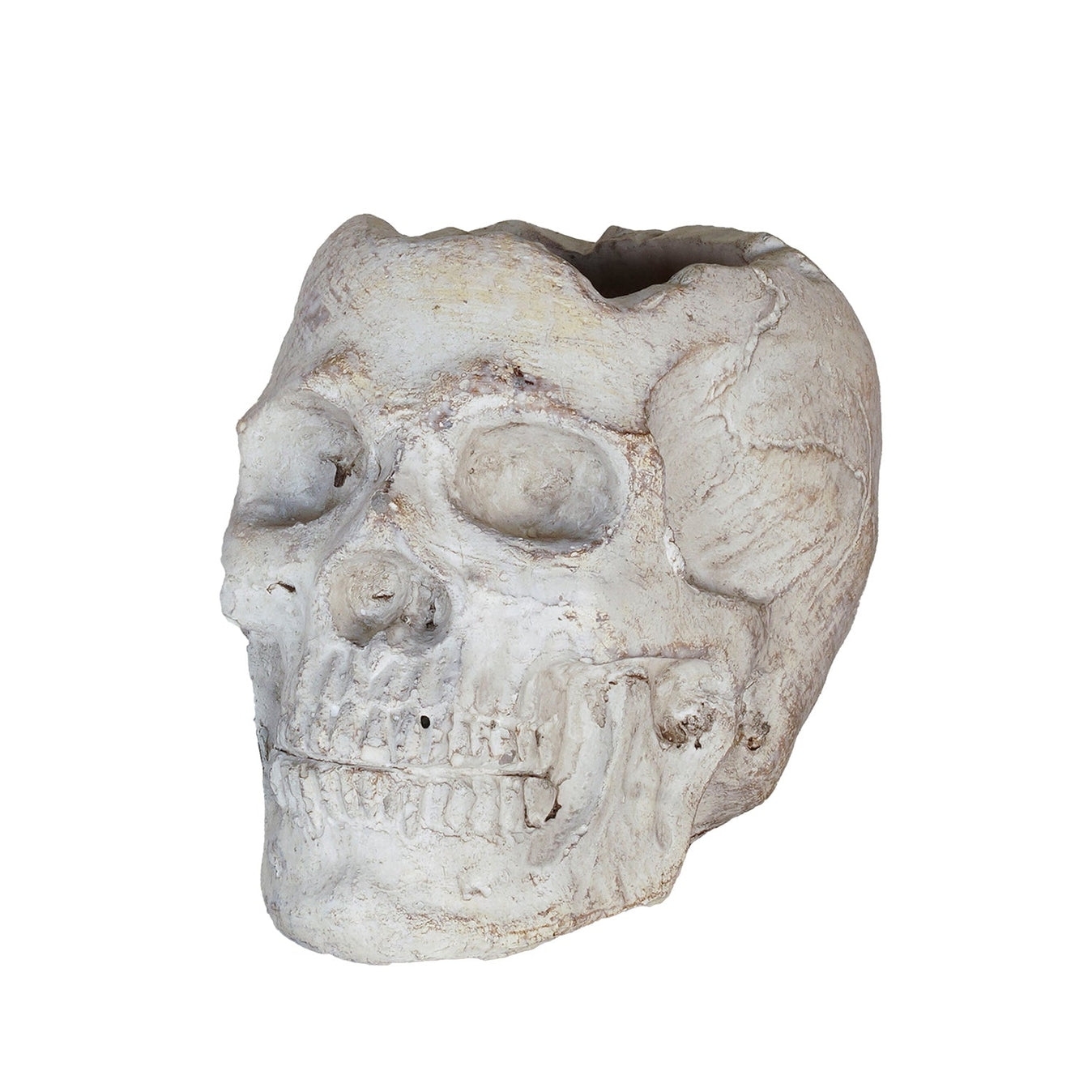 Concrete Memento Mori Skull - 2 Sizes