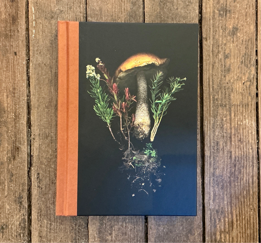 Magic of the Woods Journal - Book