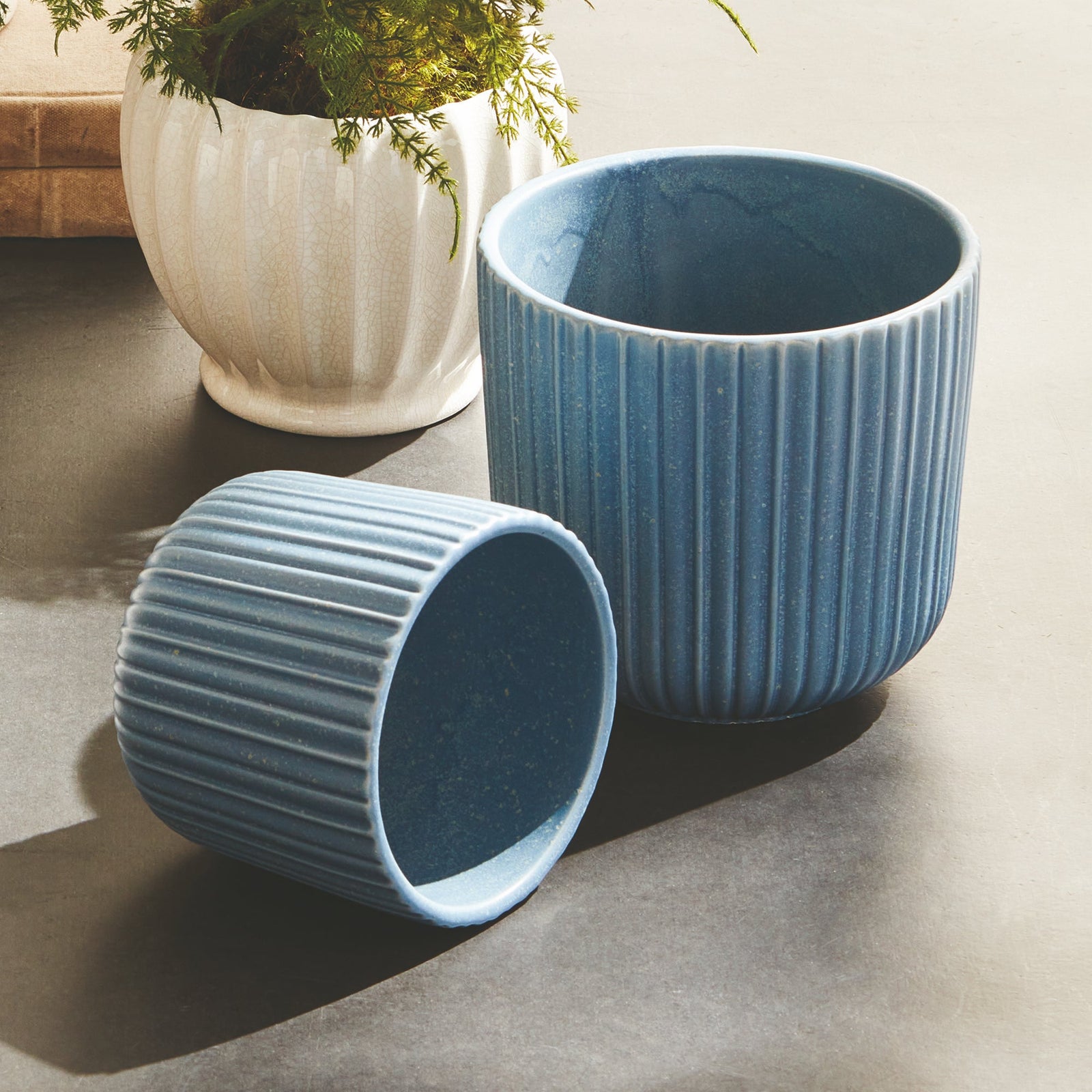 Pots + Plants