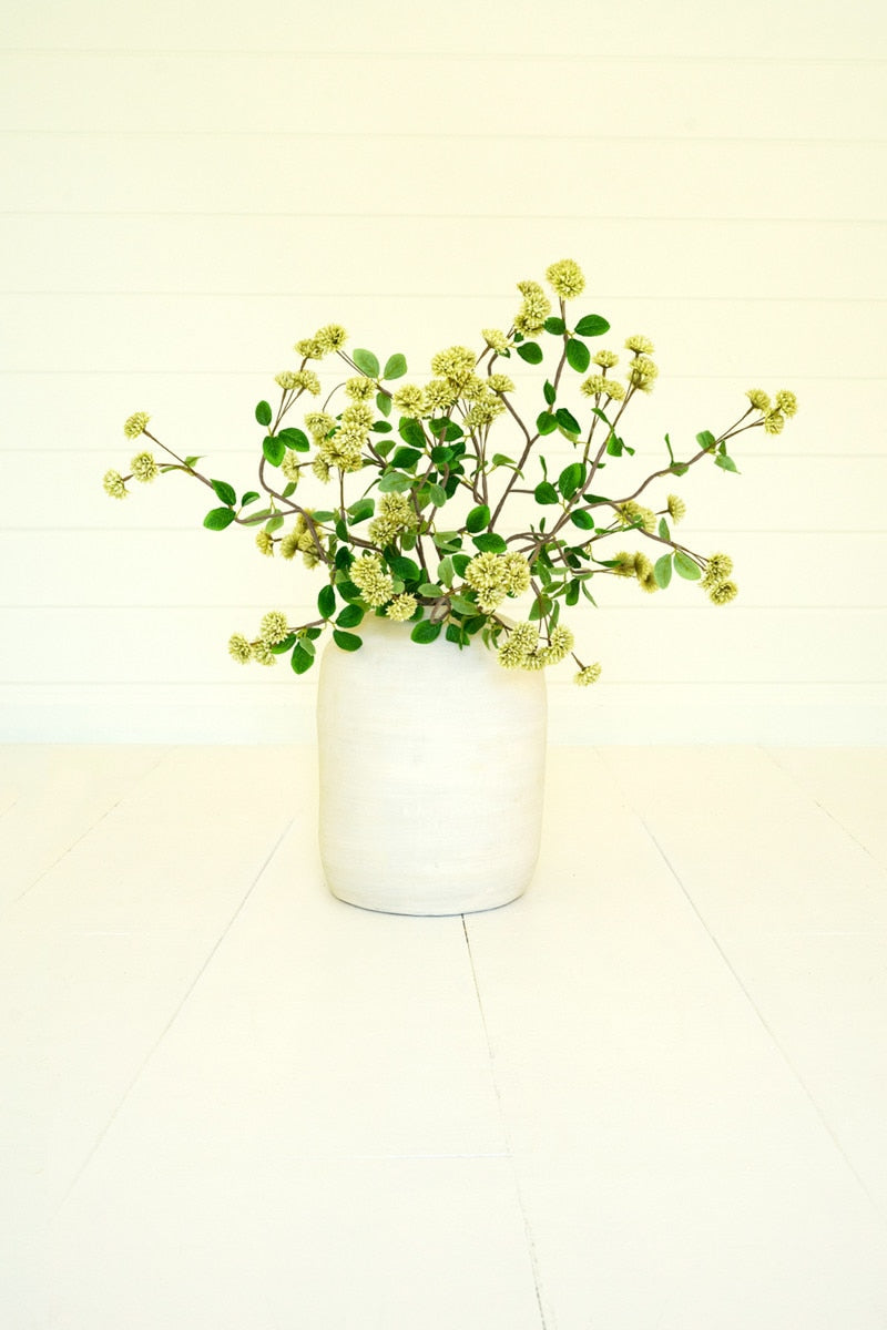 Botanica #3474