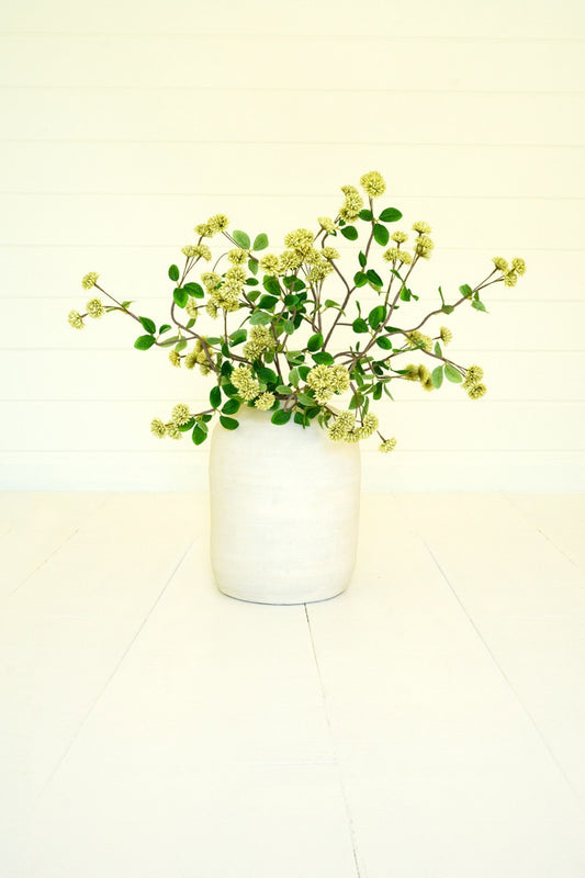 Botanica #3474