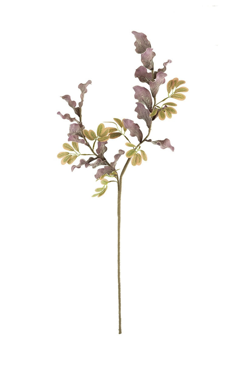 Purple Leafy Stem