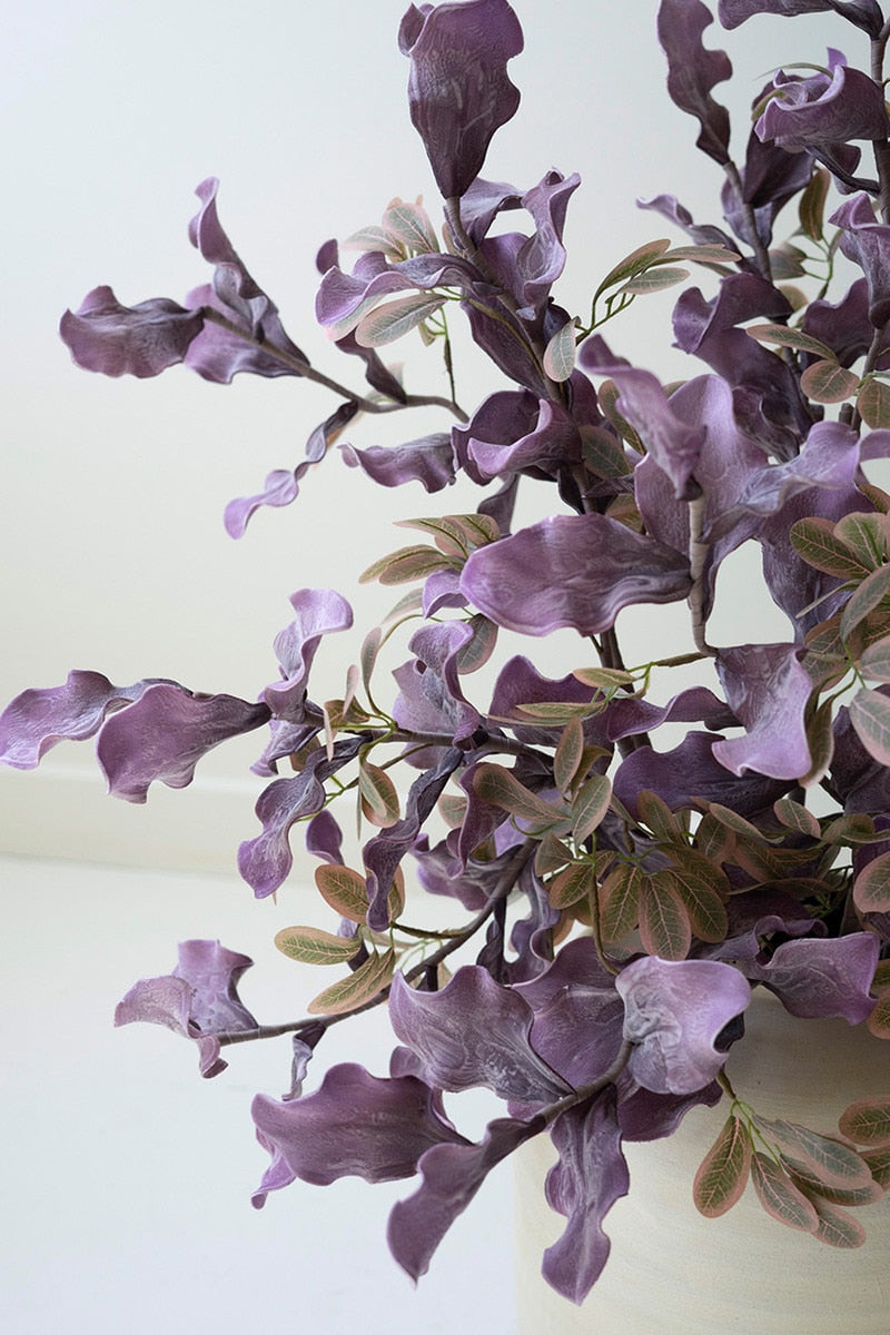 Purple Leafy Stem