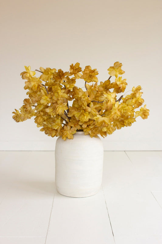 Botanica #3566
