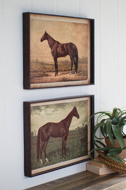 Horse Print Under Glass
