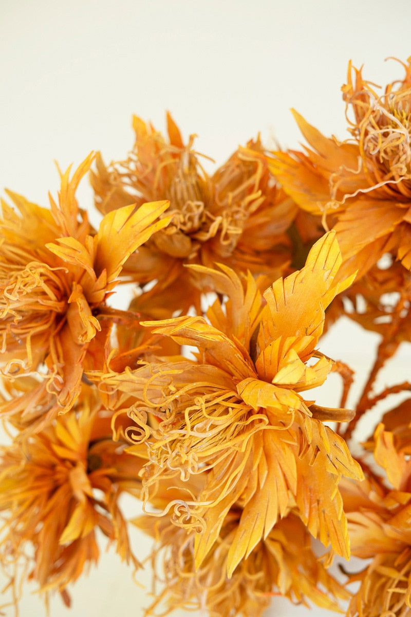 Orange Flower Stem