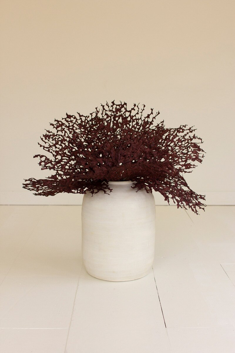 Vases + Florals