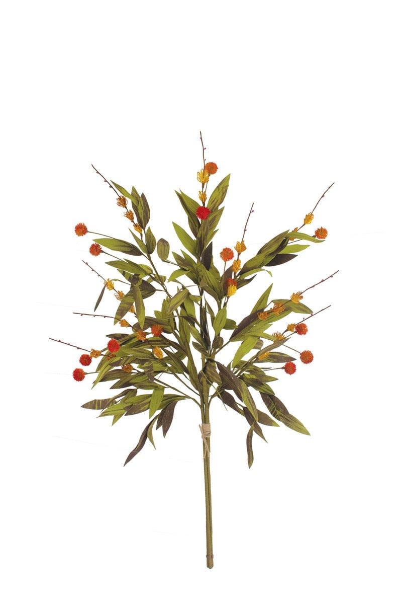Botanica #2818