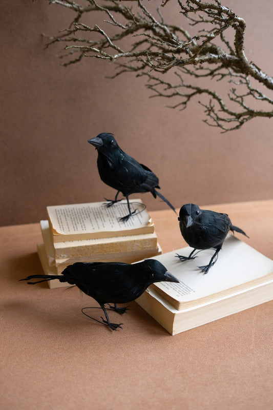 Crow Sculptures with Black Feathers - 3 Styles