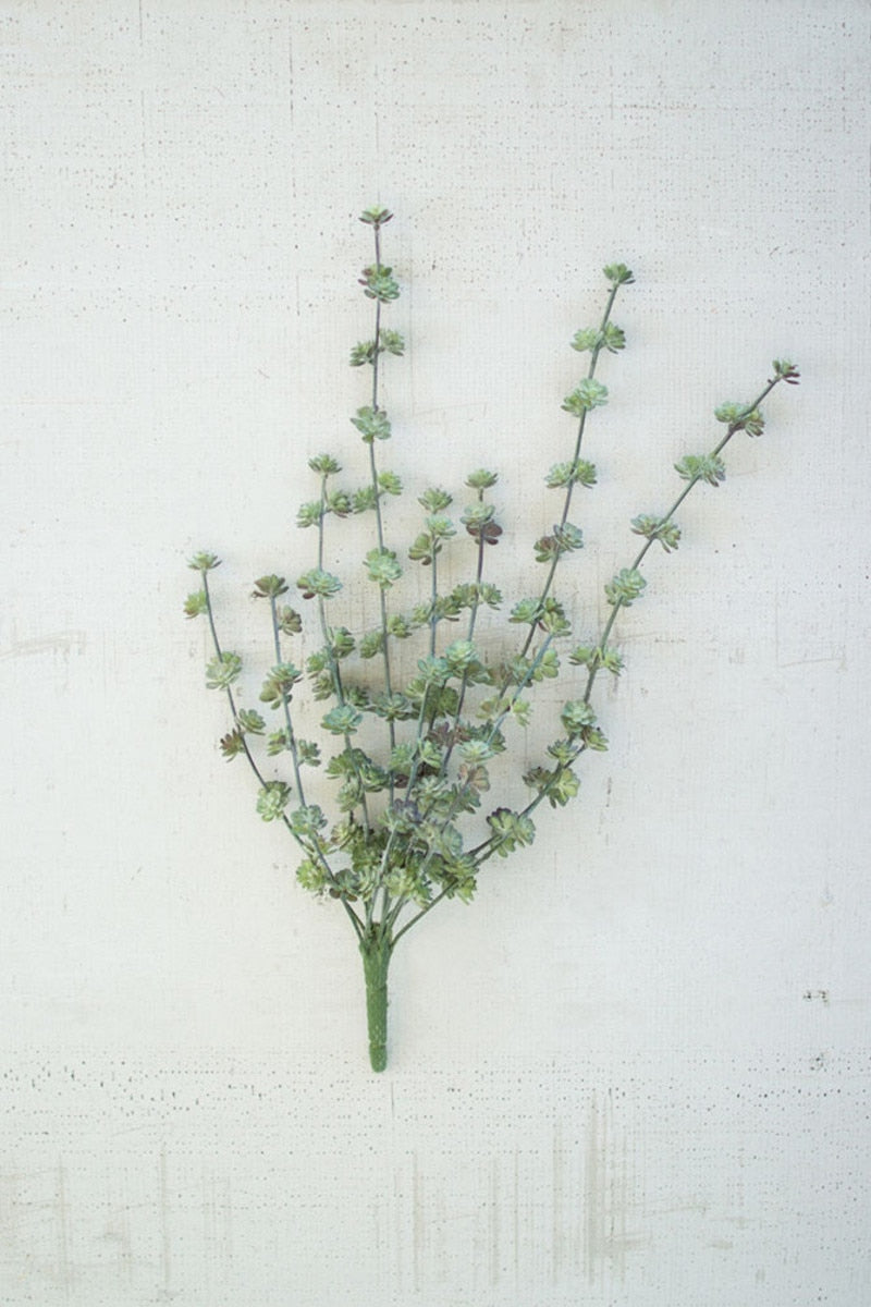 Succulent Bush
