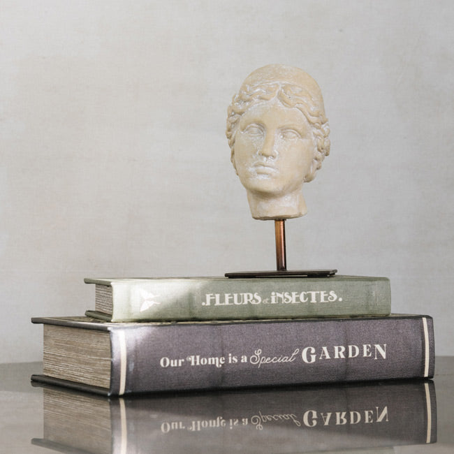 Office + Library Furniture