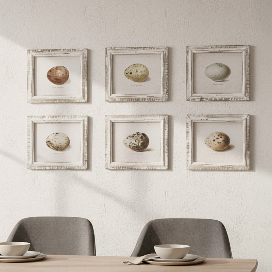 Wood Framed Vintage Egg Print, 6 Styles