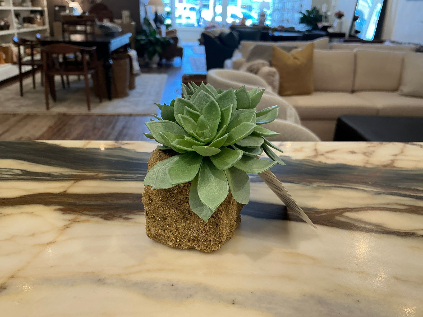 Pots + Plants