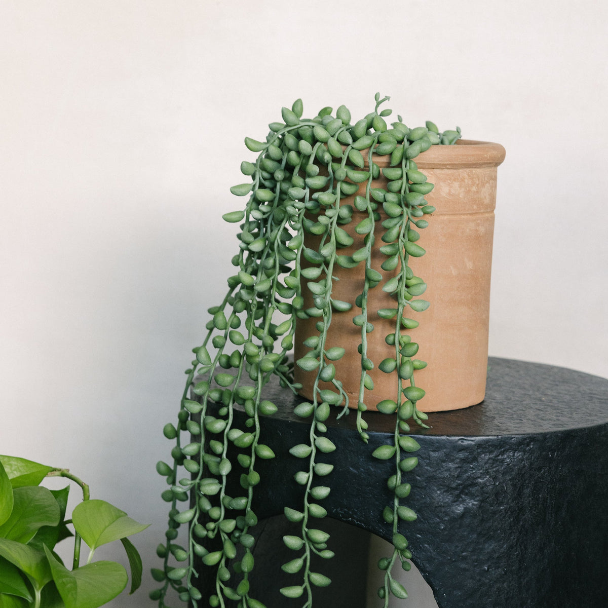 Terracotta Crock - 2 Sizes