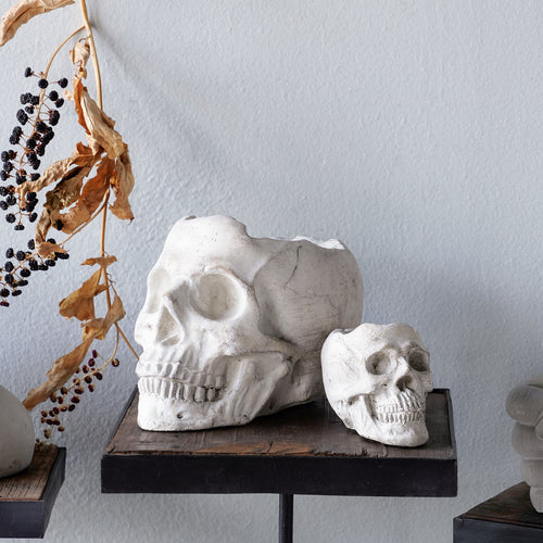 Concrete Memento Mori Skull - 2 Sizes