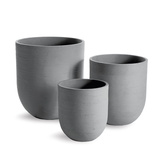 Fibrestone Malibu Cylinder Pot - Medium with fiddle leaf fig