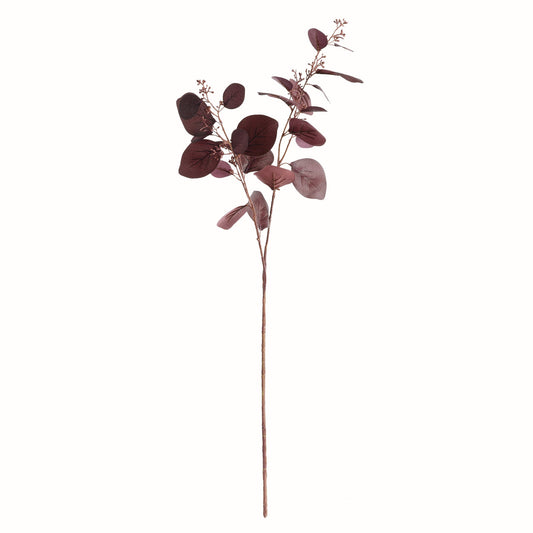 Silver Dollar Eucalyptus Branch 32"