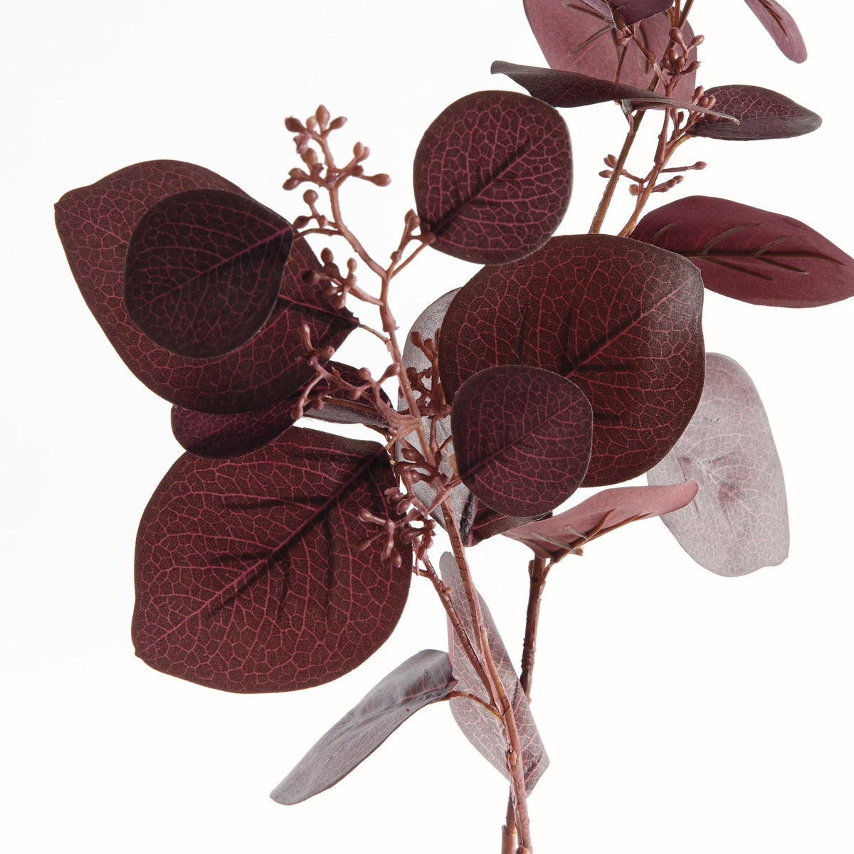 Silver Dollar Eucalyptus Branch 32"