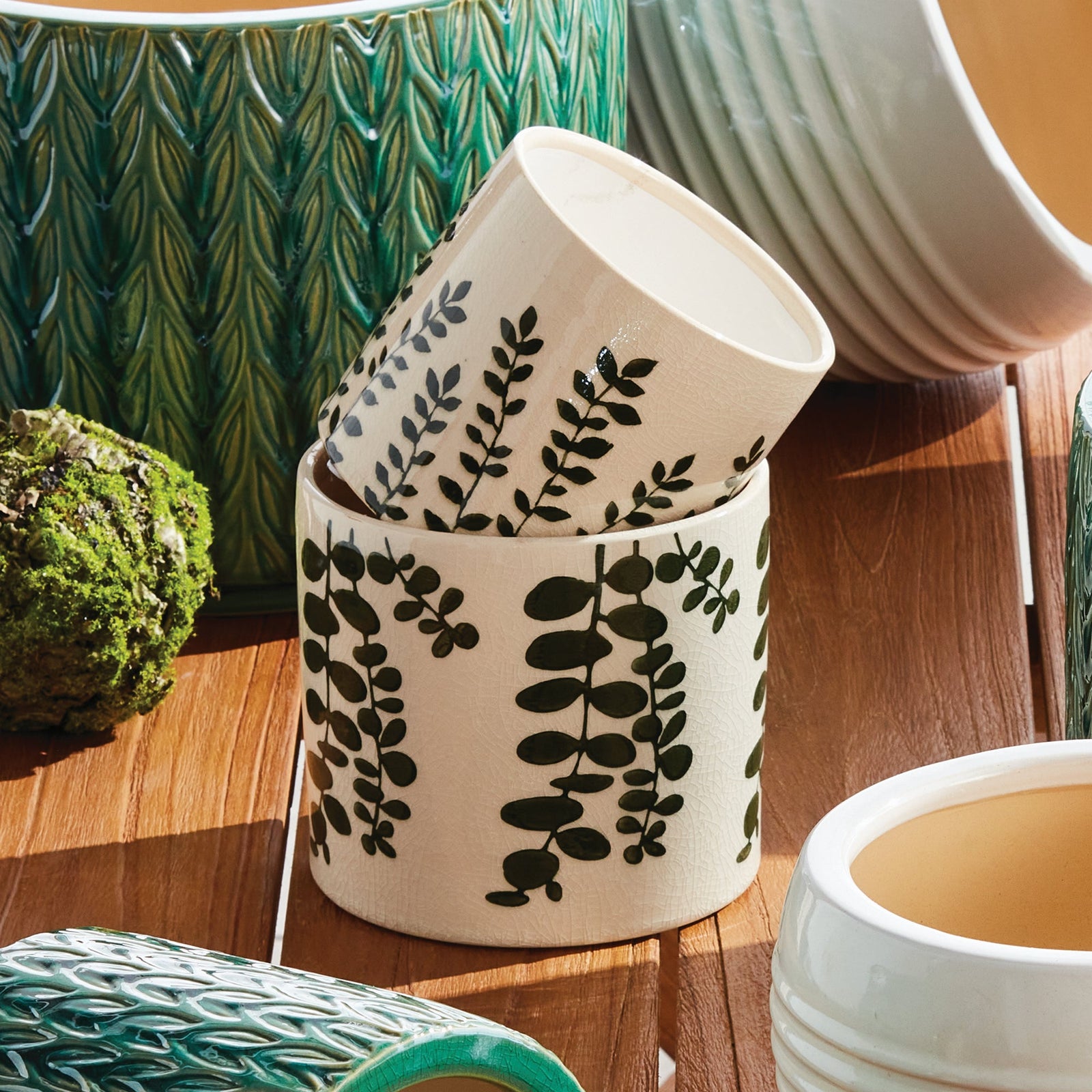 Pots + Plants